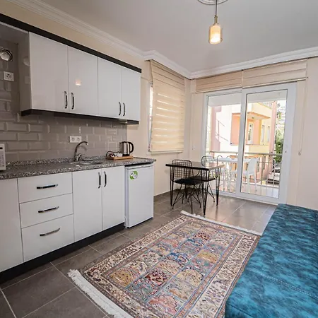 Cozy Studio In The Heart Of Appartement *